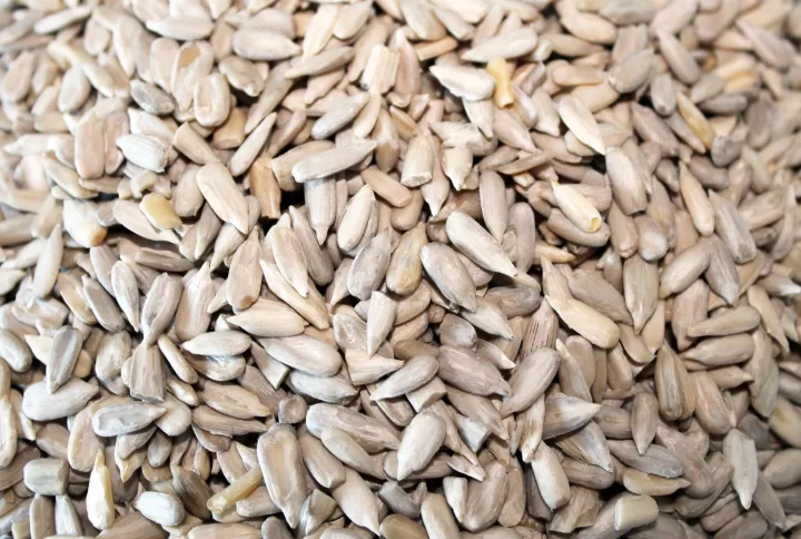 Sun Flower Seeds Benefits